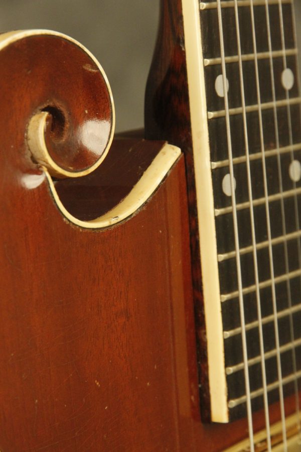 1959 Premier Multivox E275 Western Special w/Brazilian Rosewood Neck - Image 24