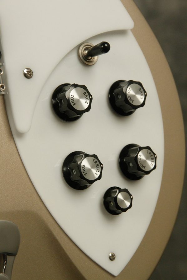 2001 Rickenbacker 330 color of the year DESERT GOLD - Image 8