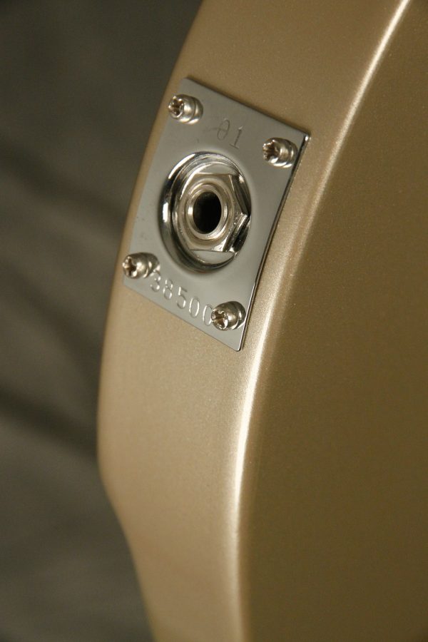 2001 Rickenbacker 330 color of the year DESERT GOLD - Image 20