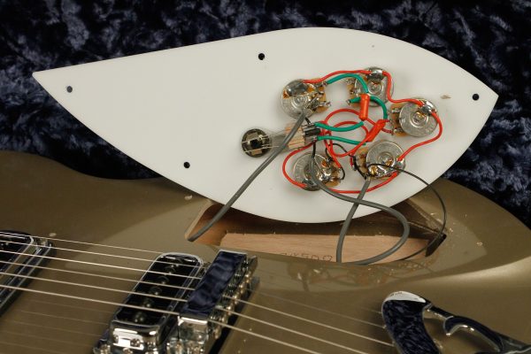 2001 Rickenbacker 330 color of the year DESERT GOLD - Image 35