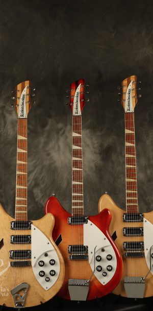 1960's/80's Rickenbacker set 370/365/375 from their museum w/ sequential serial numbers